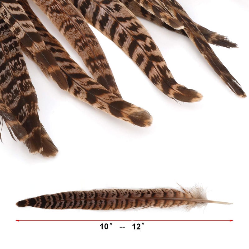 MWOOT 20pcs Natural Pheasant Tails Feather for Hair Hats Crafts Home Wedding Party Decoration (30-35cm) - Image 5